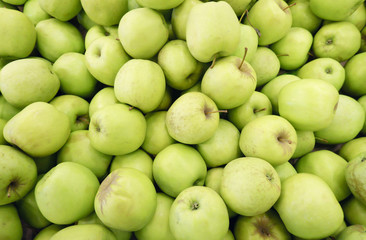 Closeup of many green juicy apple fruits in market