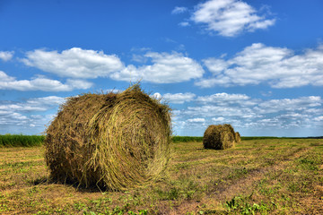 Farmers field with hay bales