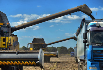 UKRAINE, 02, SEPTEMBER, 2016, harvester for harvesting sunflower crop, UKRAINE, 02, SEPTEMBER, 2016