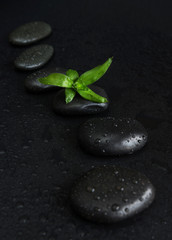 Obraz na płótnie Canvas Spa-concept with zen stones and bamboo