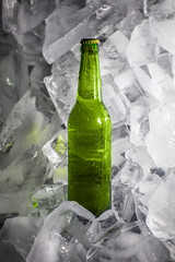 Bottles of beer on ice