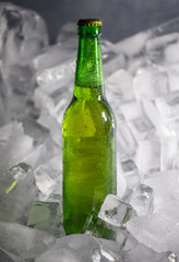 Bottles of beer on ice