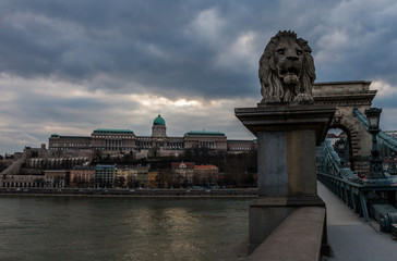 Lion statue on Szechenyi Chain Bridge and view to the river Danube and front facade of royal palace building on hill in Buda castle