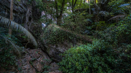 aerial photography above amazing cave. Tham Than Lod Yai is the big cave and have one hole on the top of the cave. it is a short cave there have waterfall pass inside through to another cave
