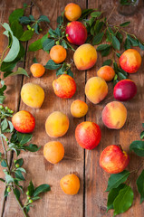 Mix of fresh ripe fruits. Peaches, apricots, nectarines with leaves on a wooden background. Summer fruits concept. Rustic style.