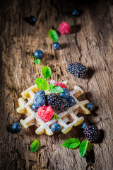 Fresh and tasty berry fruits with waffles on wooden bark
