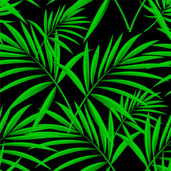 Pattern of palm leaves