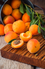 Close up of fresh ripe honeyed apricots with leaves and water drops in a vintage bucket on a wooden board. Summer fruits concept. Rustic style.