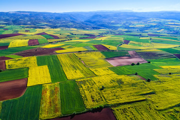 Aerial view of agricultural land with blooming in northern Greece
