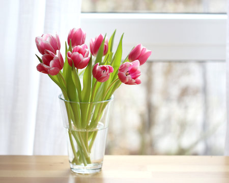 Pink tulips at the window
