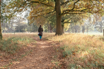 Fototapeta premium Tourist walking over path in autumn rural landscape.