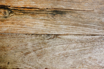 texture of bark wood use as natural background