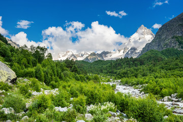 Fototapeta na wymiar Summer landscape with Russian Caucasus snowy and woody mountains and small river at the foot of it..