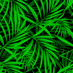Pattern of palm leaves