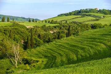 Countryside landscape around Pienza Tuscany