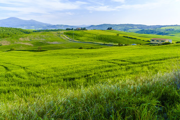 Obraz premium Countryside landscape around Pienza Tuscany
