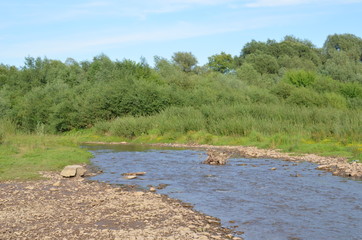River in the forest