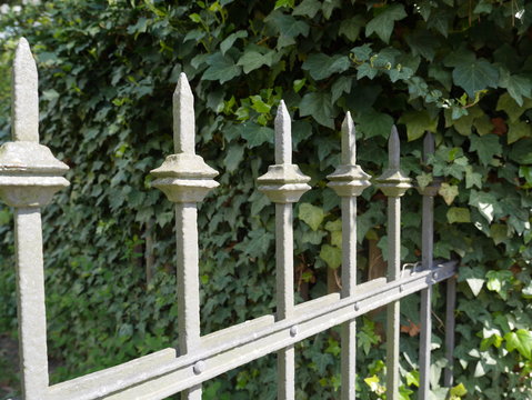 Zaun des Lebens