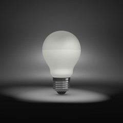 LED Light Bulb