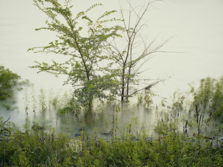 Frühjahr Hochwasser