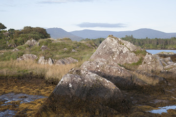 Lake in Beara Peninsula; Cork