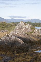 Coast near Ardgroom, Beara Peninsula; Cork