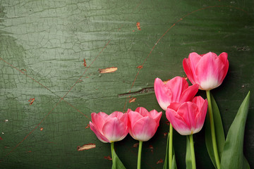 Fototapeta na wymiar Green tulips background