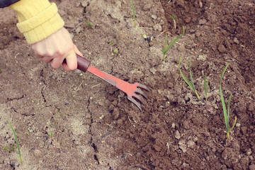 spring works in the garden/ Gardener with rakes, conducts soil treatment for better growth of...