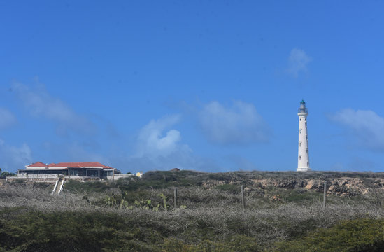 California Lighthouse And Faro Blanco Restaurant In Aruba