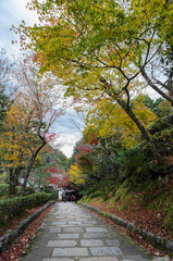 Fototapeta na wymiar Steps leading down with autumn colored leaves in Arashiyama, Kyoto, Japan