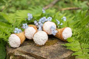 dessert - waffle cones in green leaves