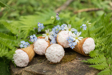 dessert - waffle cones in green leaves