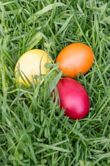 colored Easter eggs on the grass