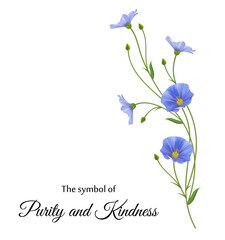 Реалистичные цветы льна, символ чистоты и доброты