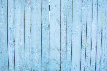 Fototapeta premium blue old wooden fence. wood palisade background. planks texture
