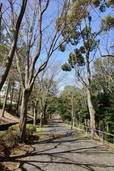 春の散歩
