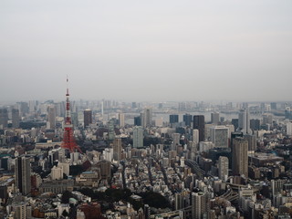 Fototapeta na wymiar city view of Tokyo