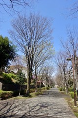 春の散歩道