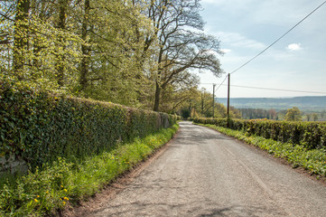 Summertime country road scenery in the Herefordshire countryside of the United Kingdom,