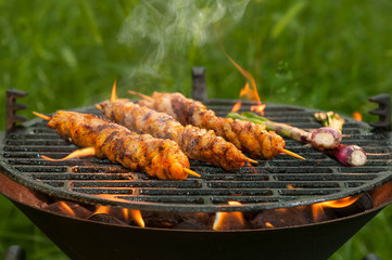 Shish Kebab on the Grill