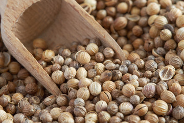Closeup of dried coriander seeds with wooden scoop