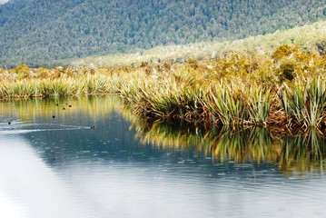 ミラーレイクとキャズム
