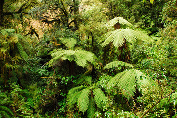 ミラーレイクとキャズム