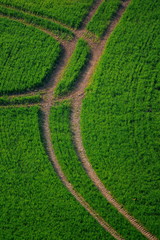 Tractor tyre track on a farmland field in East Devon, England