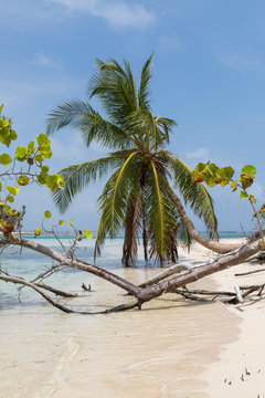San Blas, Carribean paradise