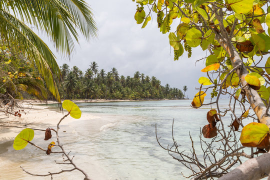 Tropical San Blas beach