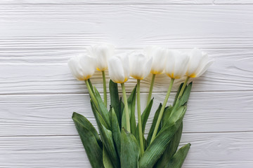 Mother's Day . white tulips on white wooden background