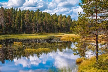 Fototapeta na wymiar Idyllic summer landscape with clear lake in Finland