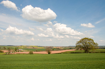 Fototapeta na wymiar Springtime landscape in the Herefordshire countryside of England.
