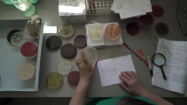 Microbiology or bacteriology analysis, two female doctors specialist microbiologist are testing samples at the desk with glassware in laboratory, crane shot, tracking, high angle view, room interior